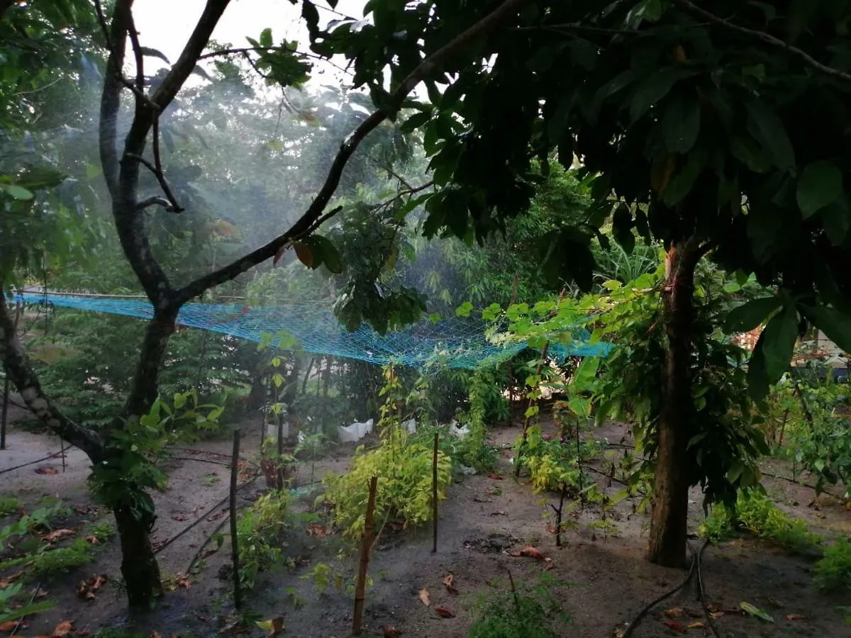 Nettle Trees Farm Stay Alappuzha 0*,  India
